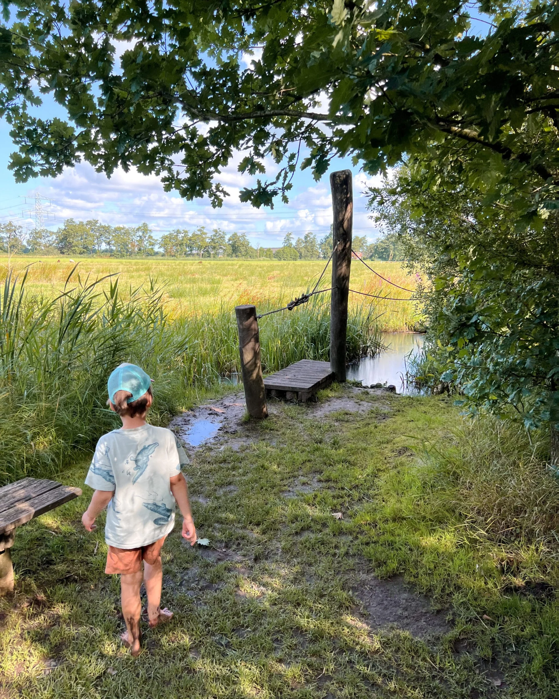 Houten bruggetje op het blotevoetenpad in Opende, Groningen