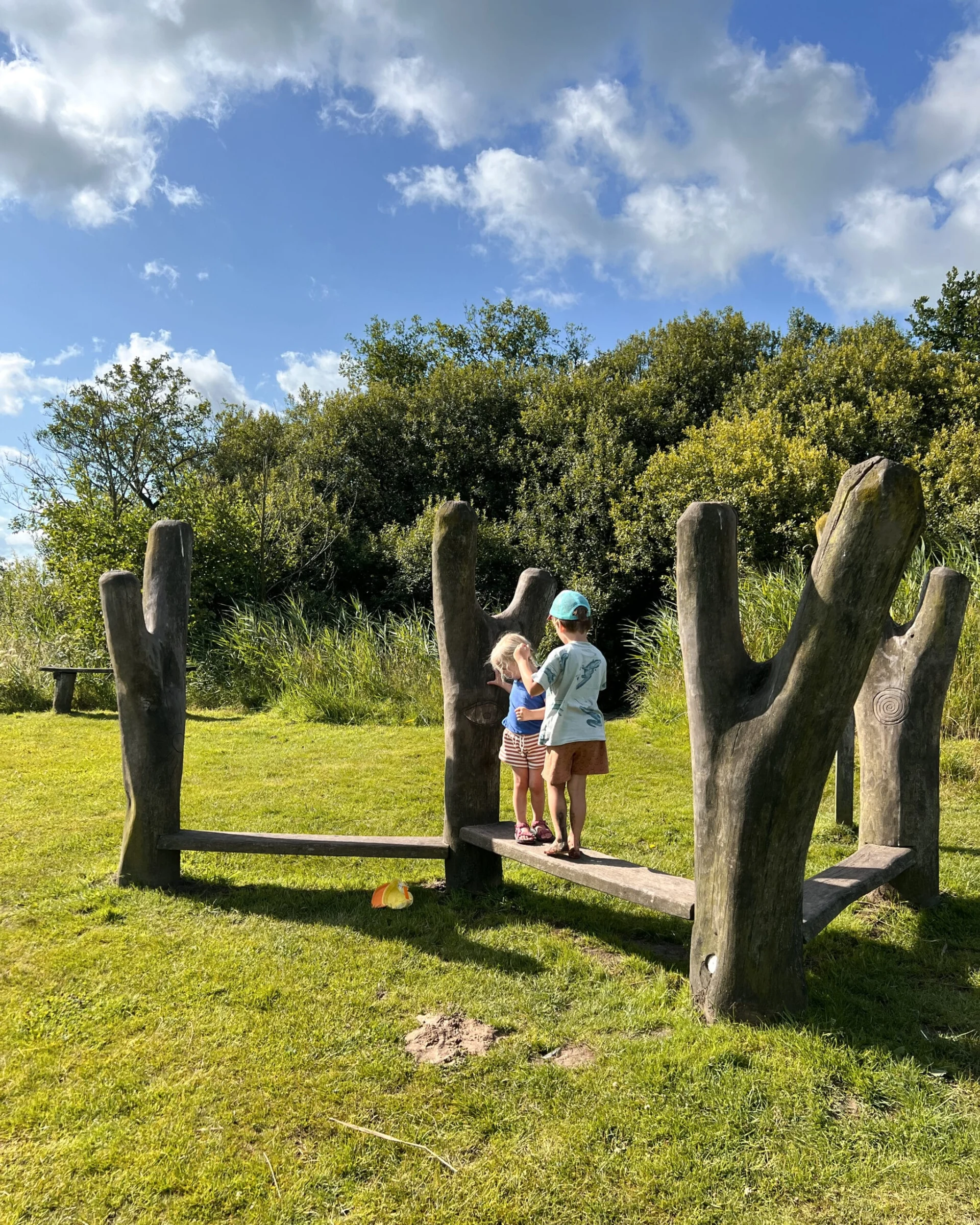 Twee kinderen spelen op een houten speeltoestel op het blotevoetenpad in Opende, Groningen