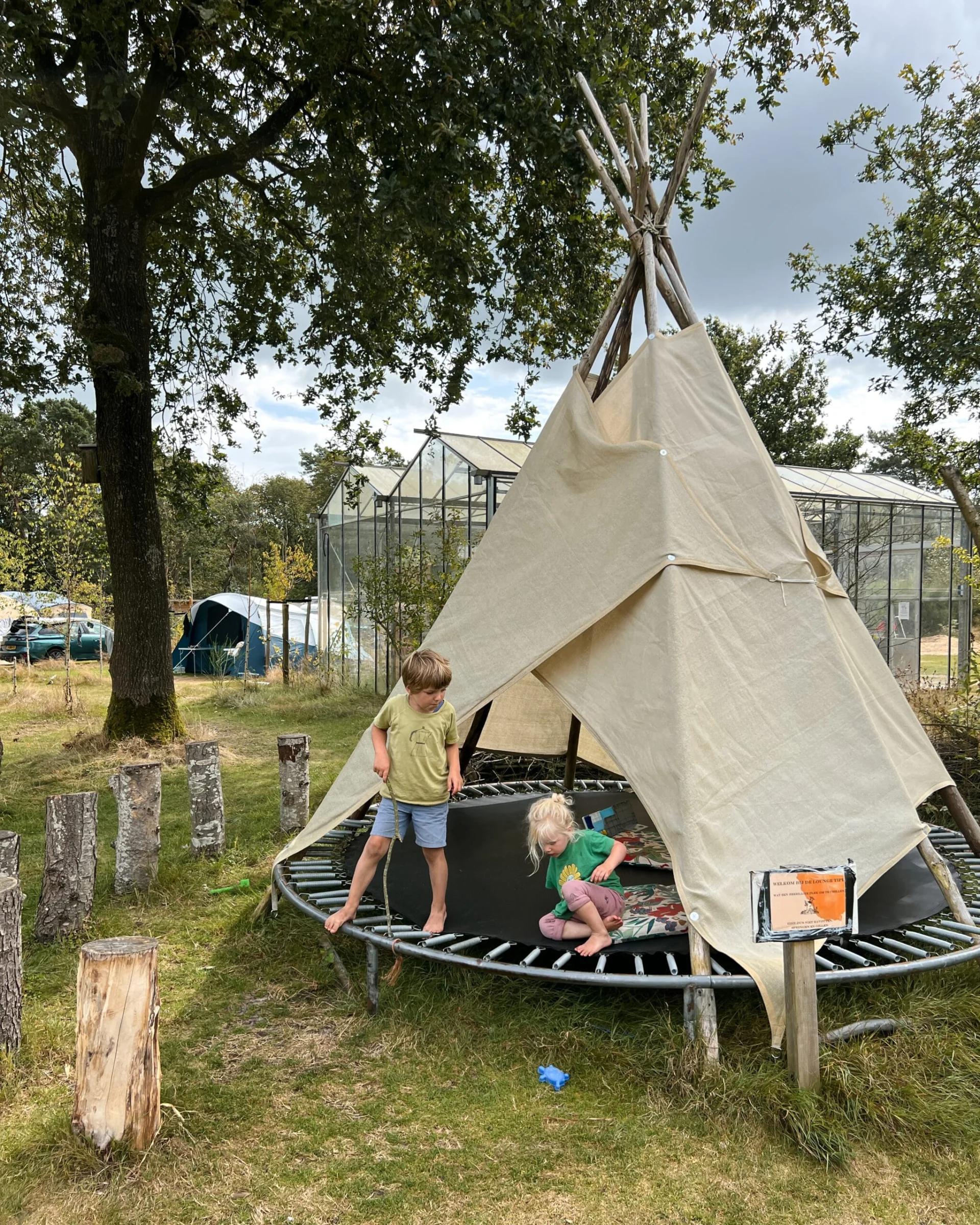Kinderen spelen op een trampoline op camping De Blauwe Haan in Drenthe. Kindvriendelijk kamperen in Drenthe