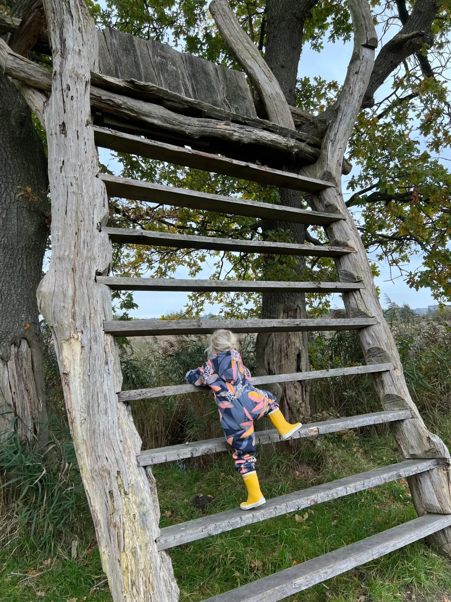 Kind klimt op de Hoogzit, een uitkijkpunt bij De Onlanden vlak bij Groningen