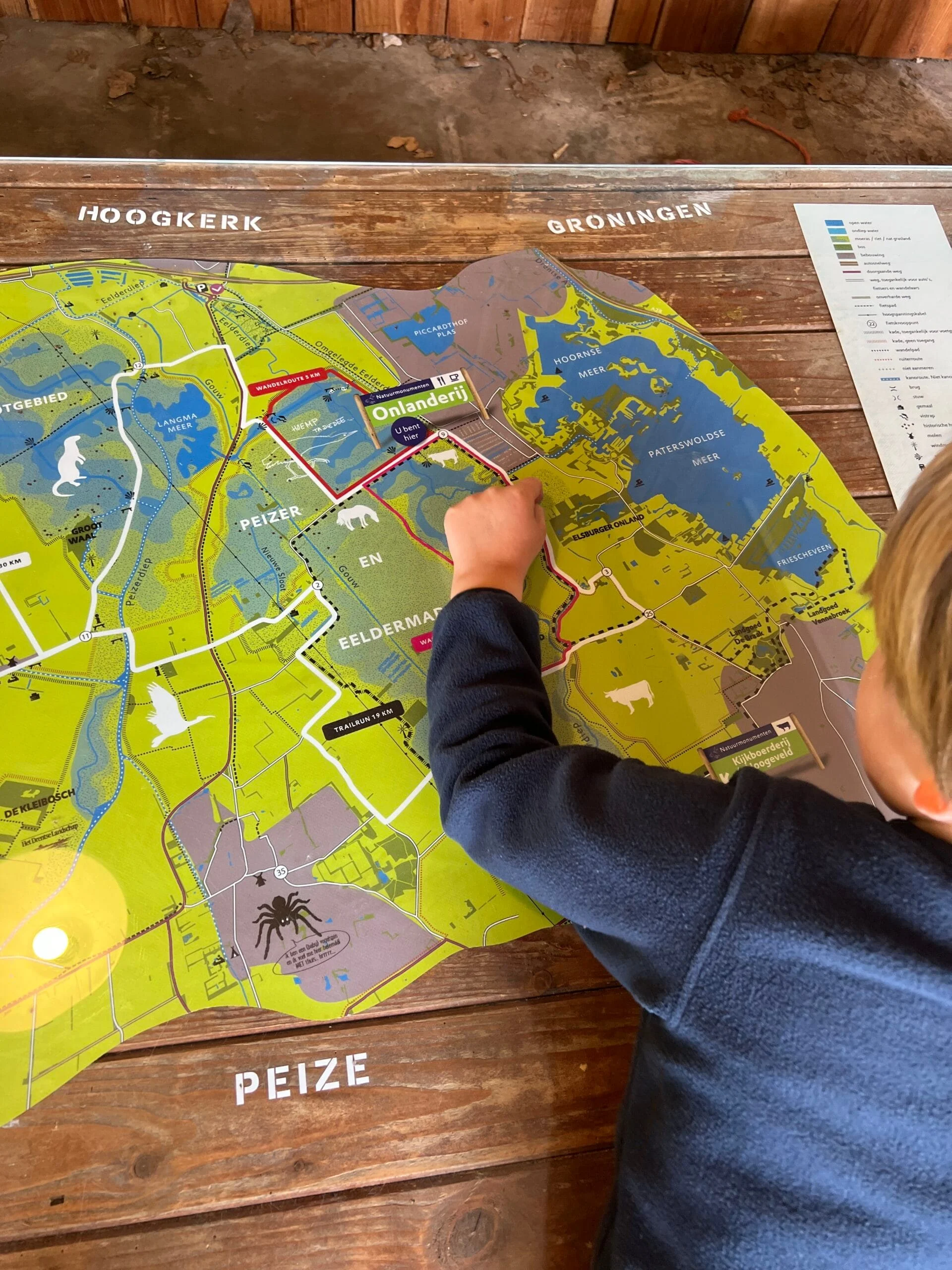 Kind bekijkt een grote kaart van de Onlanden bij Speelnatuur van OERRR De Onlanderij