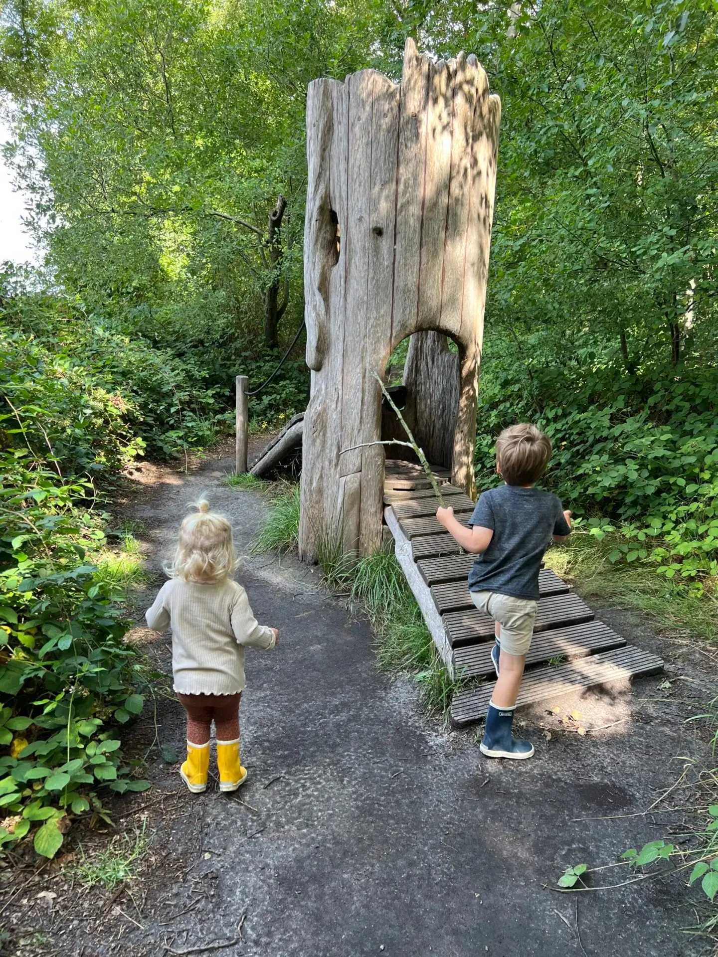 Kinderen lopen over het Houten Pad van Theodoor in Orvelte.