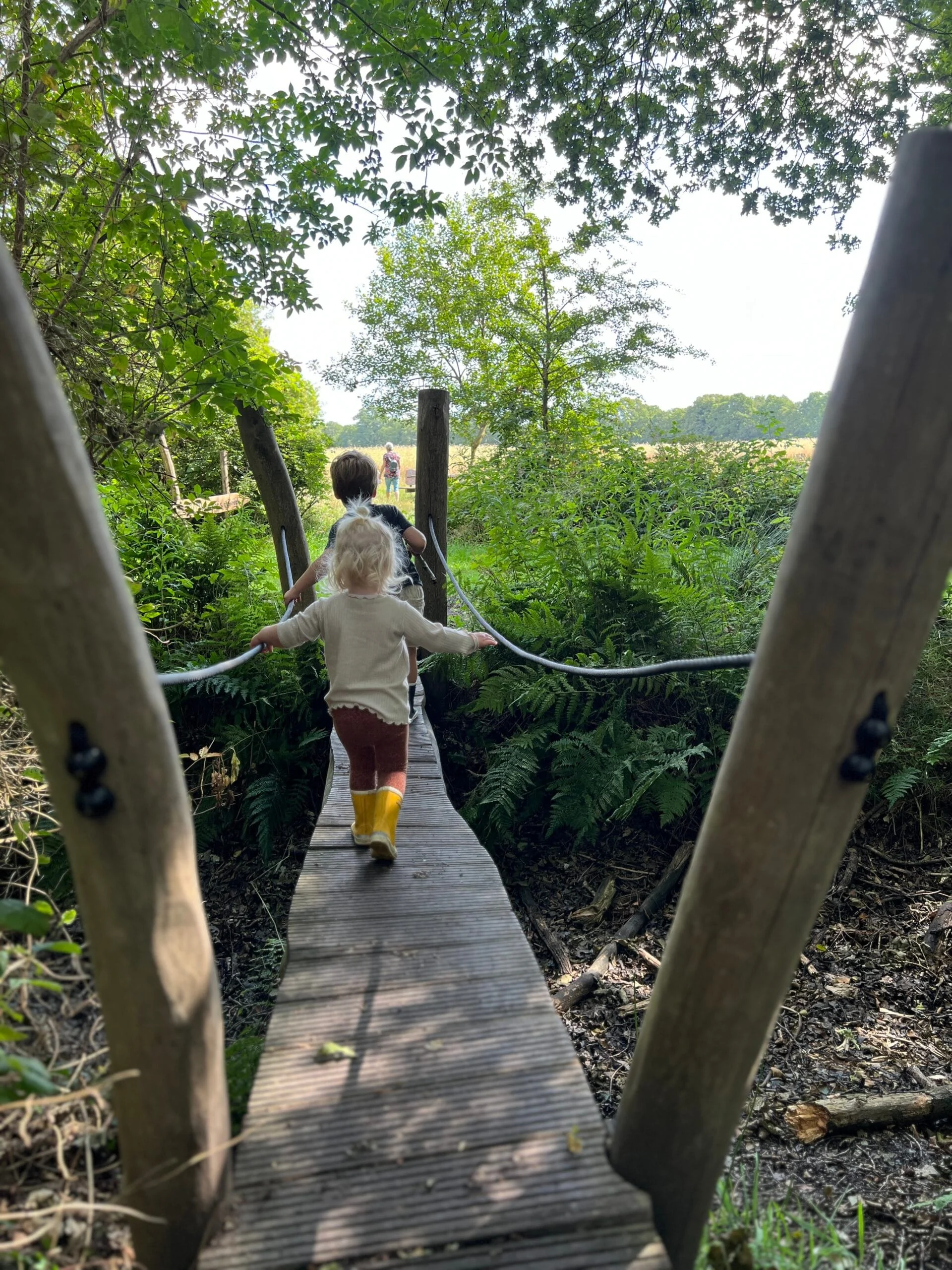 Kinderen lopen over een belevingspad in Drenthe