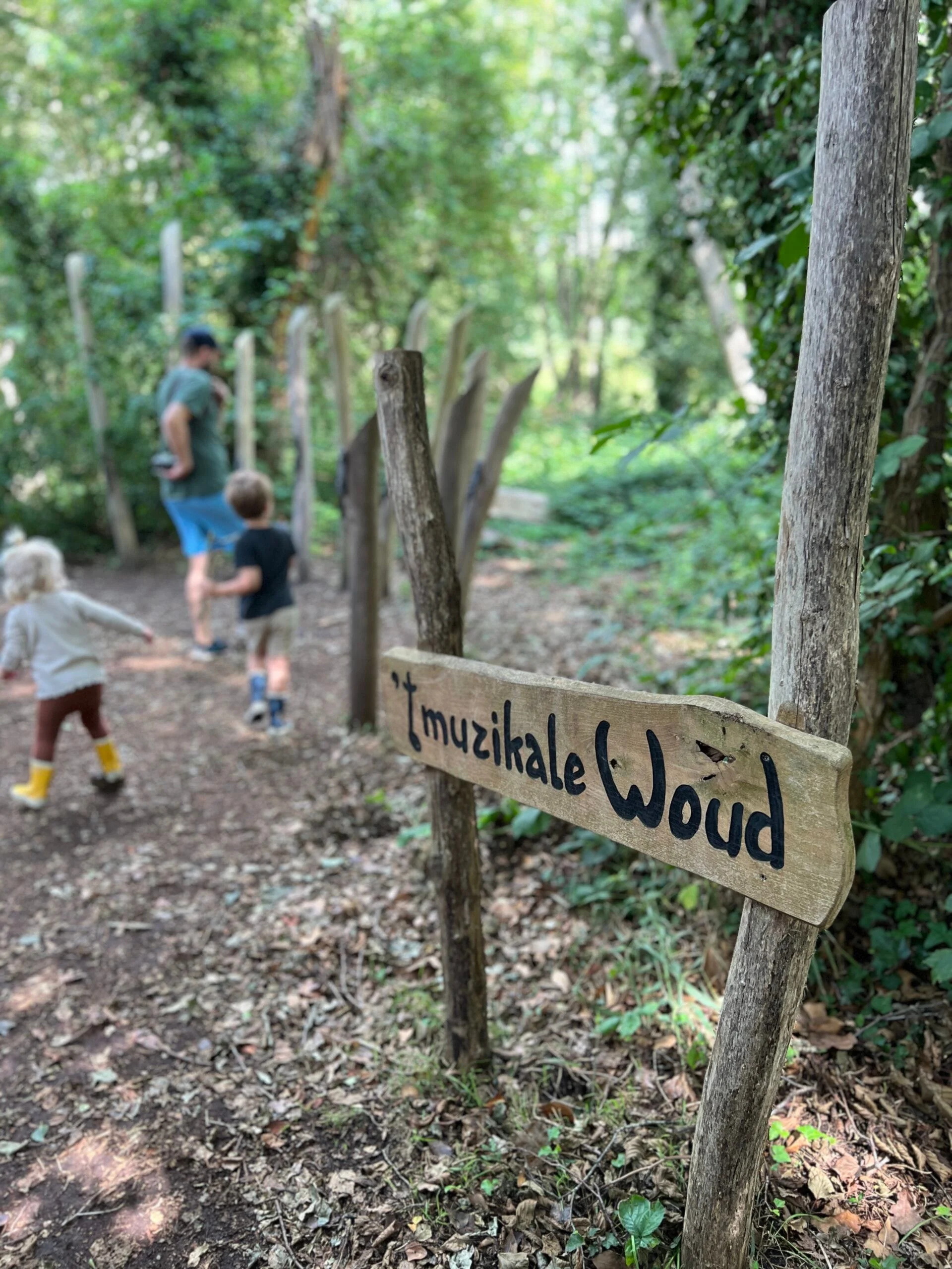 Een stukje van het Houten Pad van Theodoor in Orvelte, Drenthe