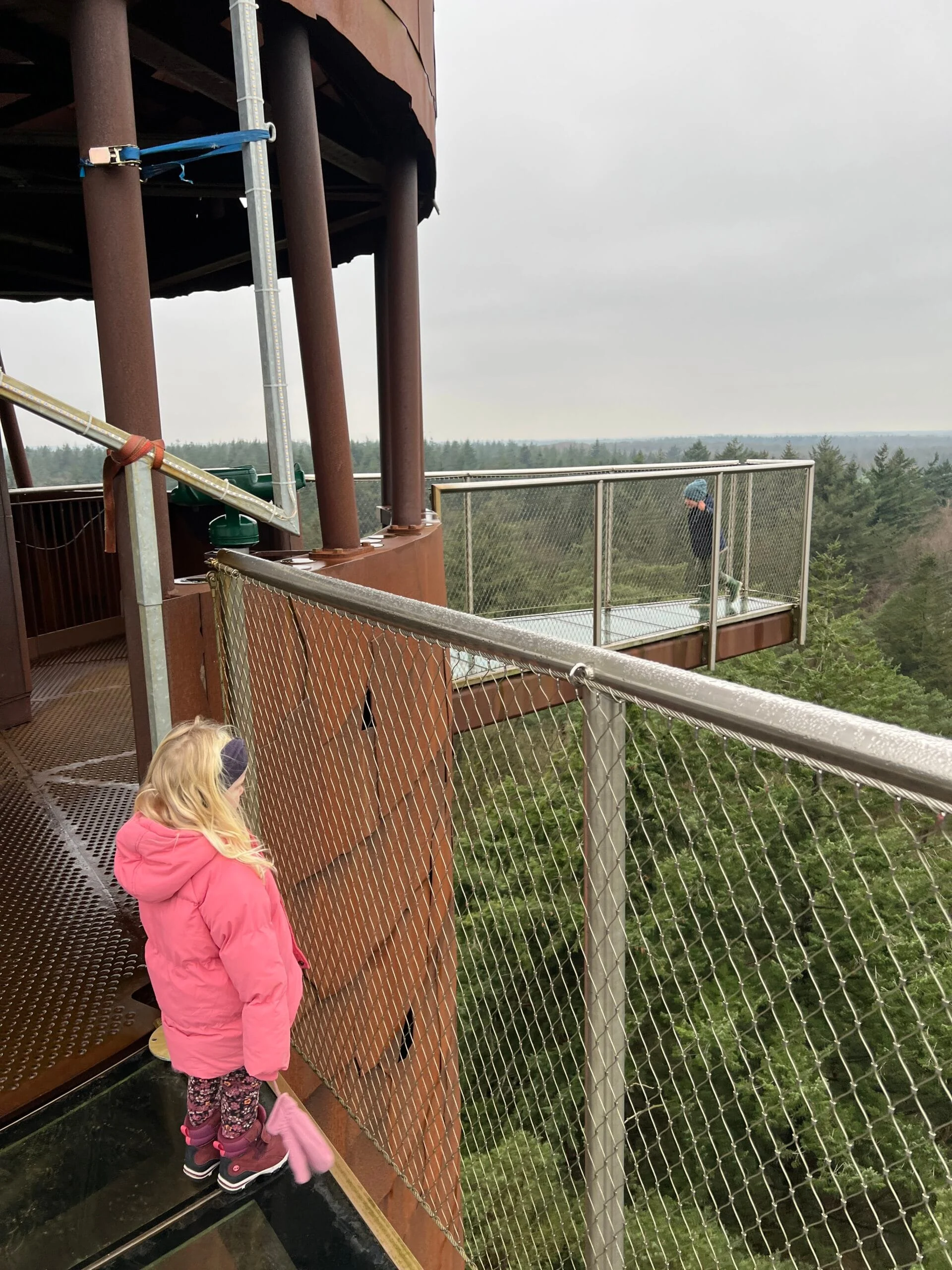 Kinderen staan op de Bosbergtoren in Appelscha, Friesland