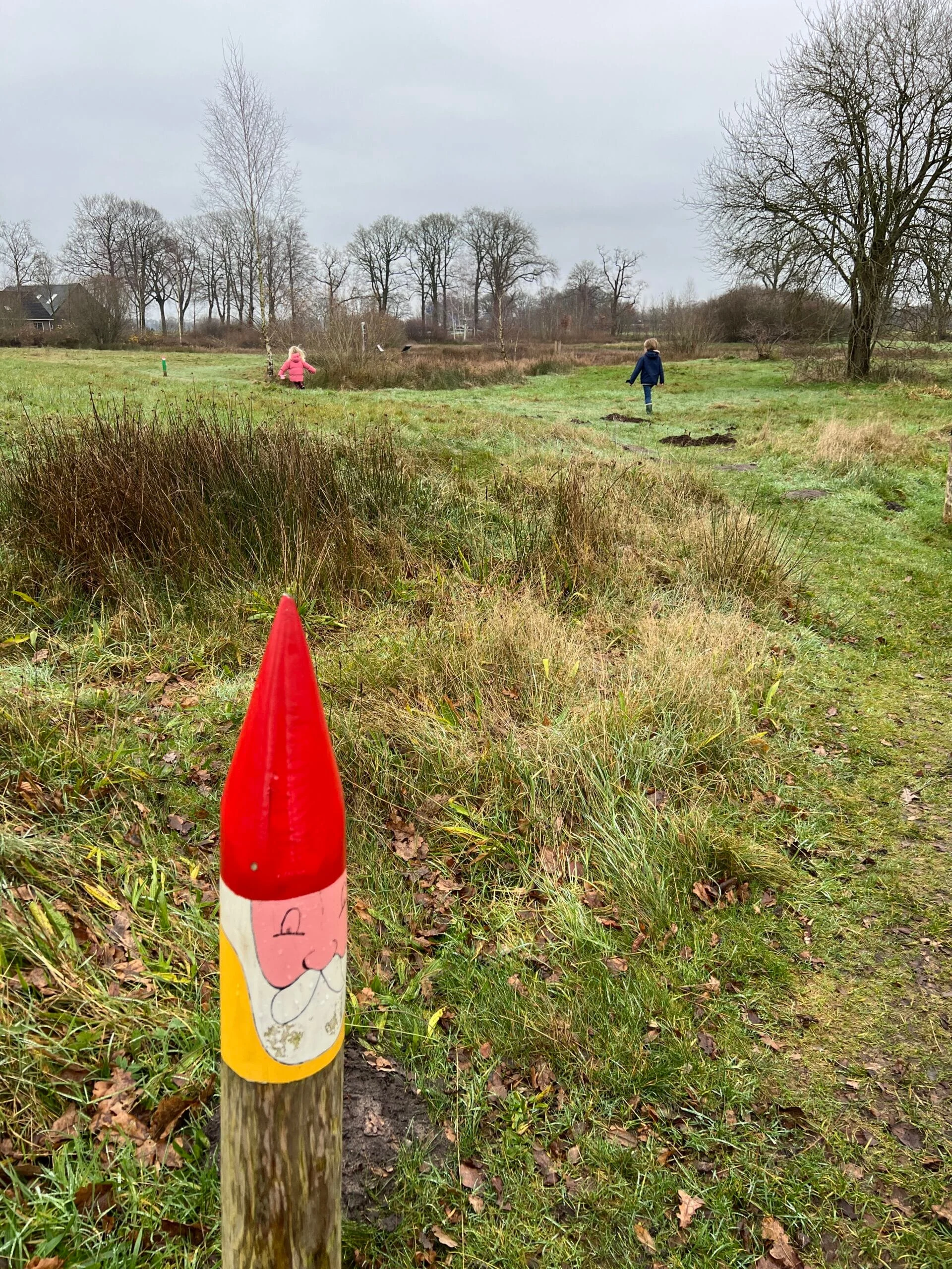 Het Kabouterpad bij het Drents-Friese Wold, Drenthe