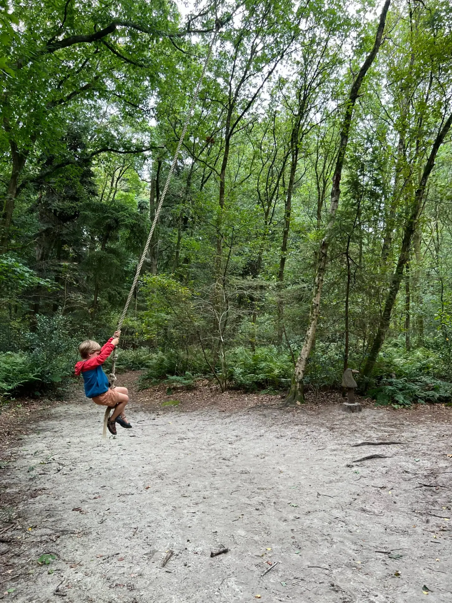 Kind slingert aan een touw op het Roekpad in Echten, Drenthe