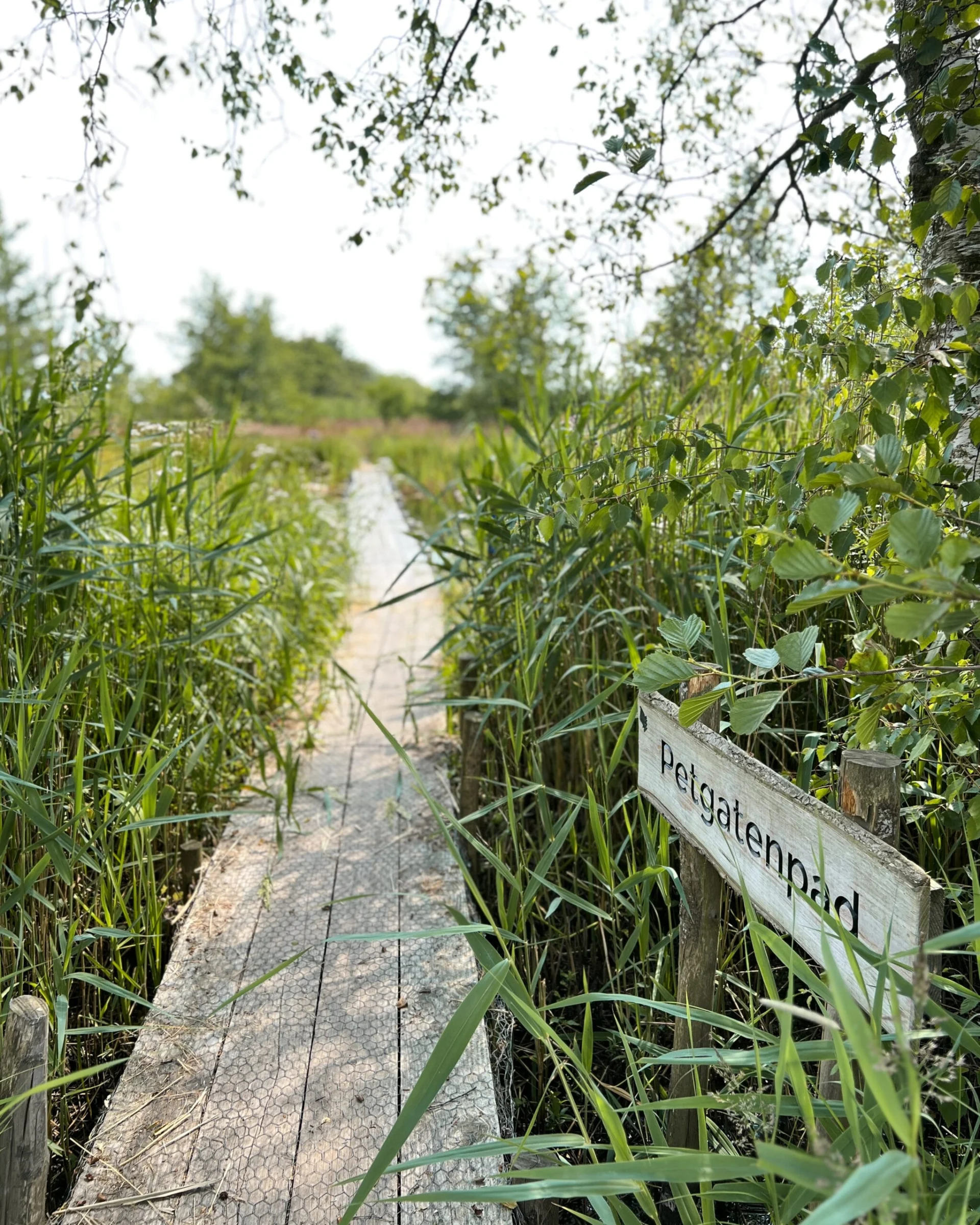 Vlonderpad met bord Petengatenpad in Groningen