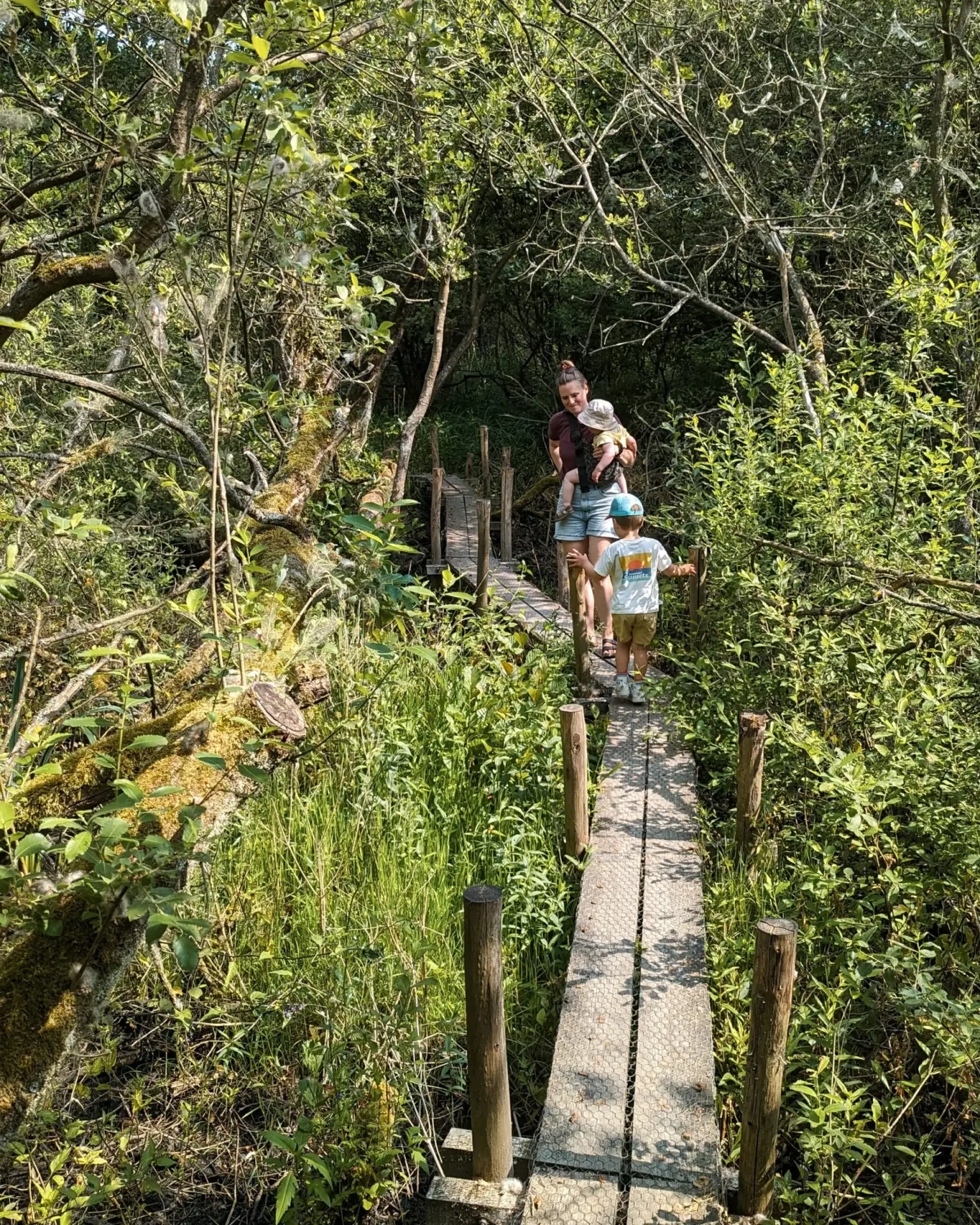 Moeder met kinderen kijkt naar beestjes in het water langs het plankenpad in Lettelberterpetten