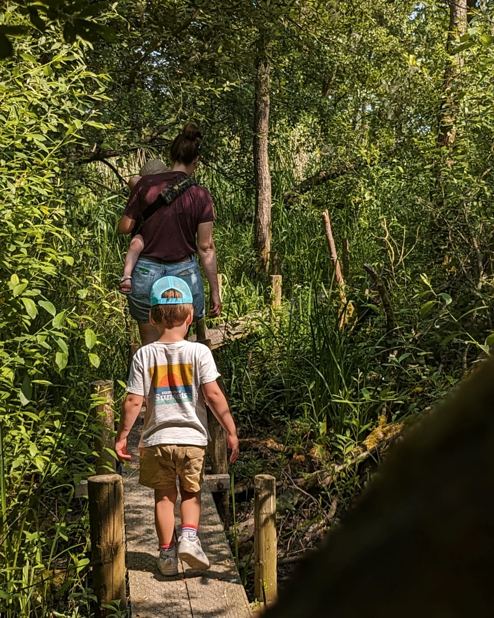 Moeder met kinderen loopt tussen het riet over het plankenpad in Lettelbert