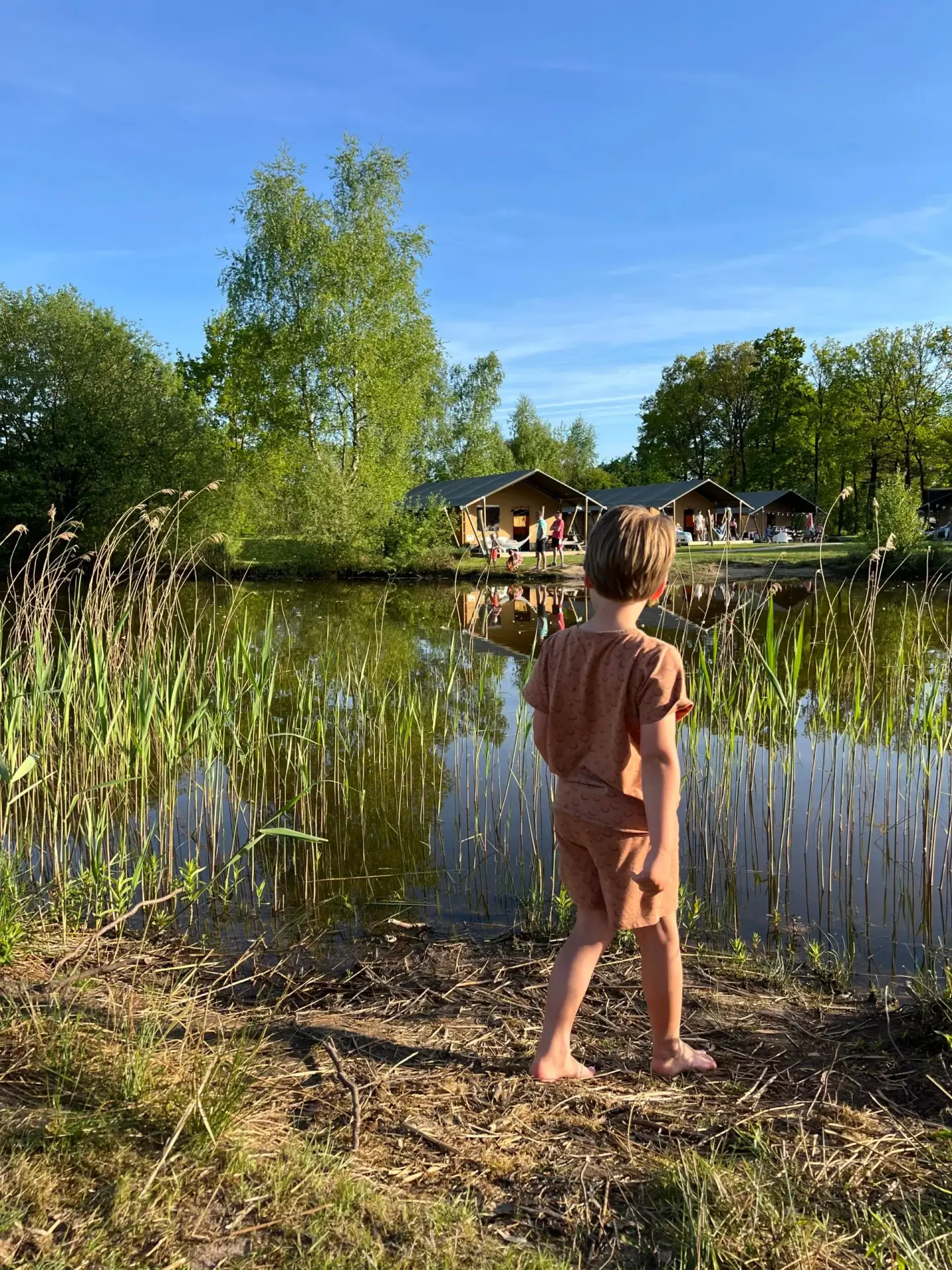 Kind kijkt naar vijver en safaritenten op camping Vreehorst Kind kijkt naar vijver en safaritenten op camping Vreehorst Winterswijk