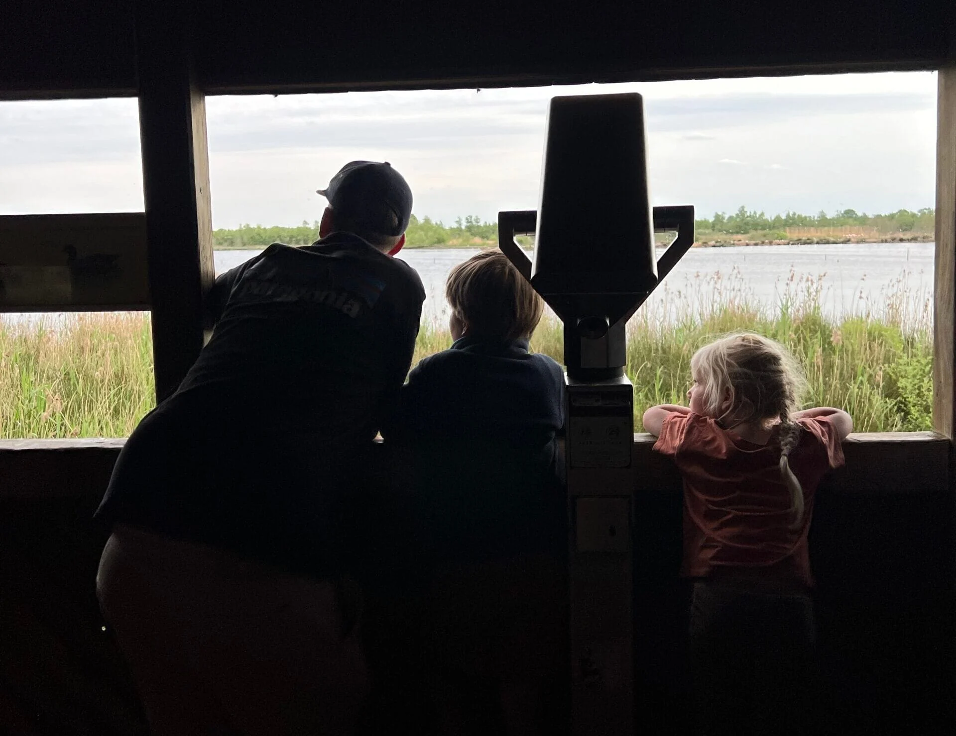 Kinderen en vader kijken naar flamingo’s in vogelkijkhut net over de grens in Duitsland
