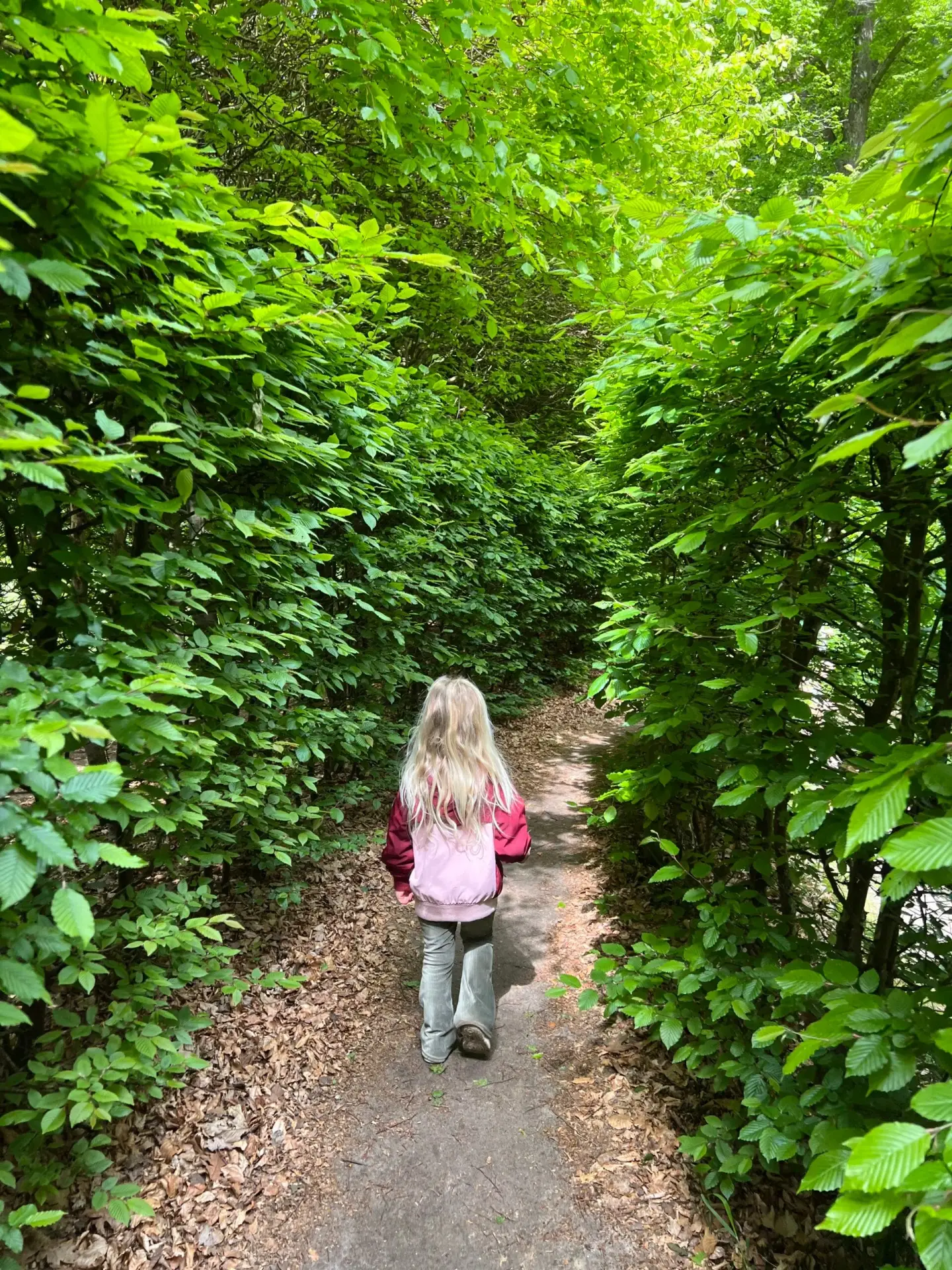Kind loopt door het doolhof van Landgoed De Braak in Paterswolde
