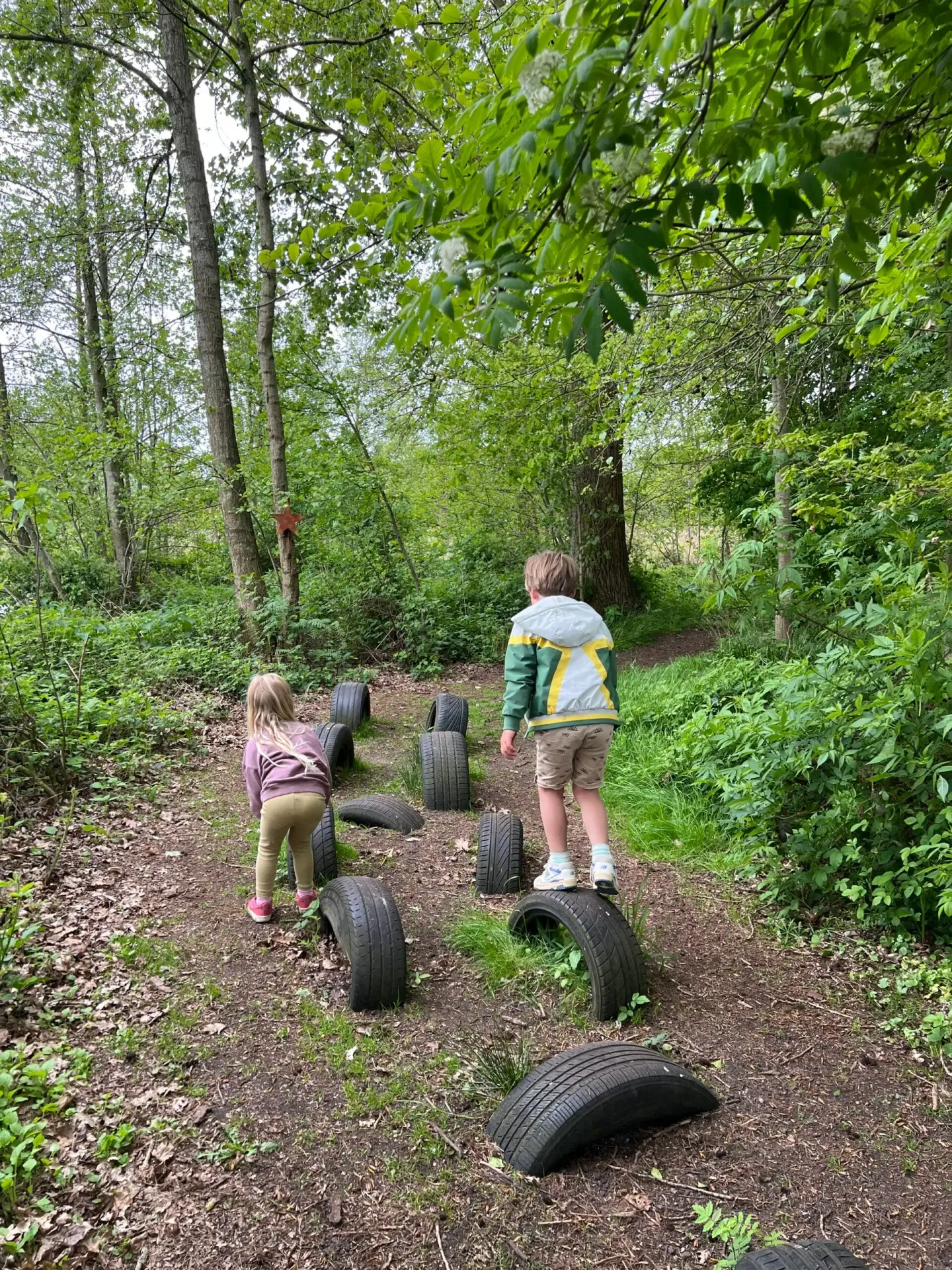 Kinderen lopen het belevingspad bij de Mikkelhorst in Haren