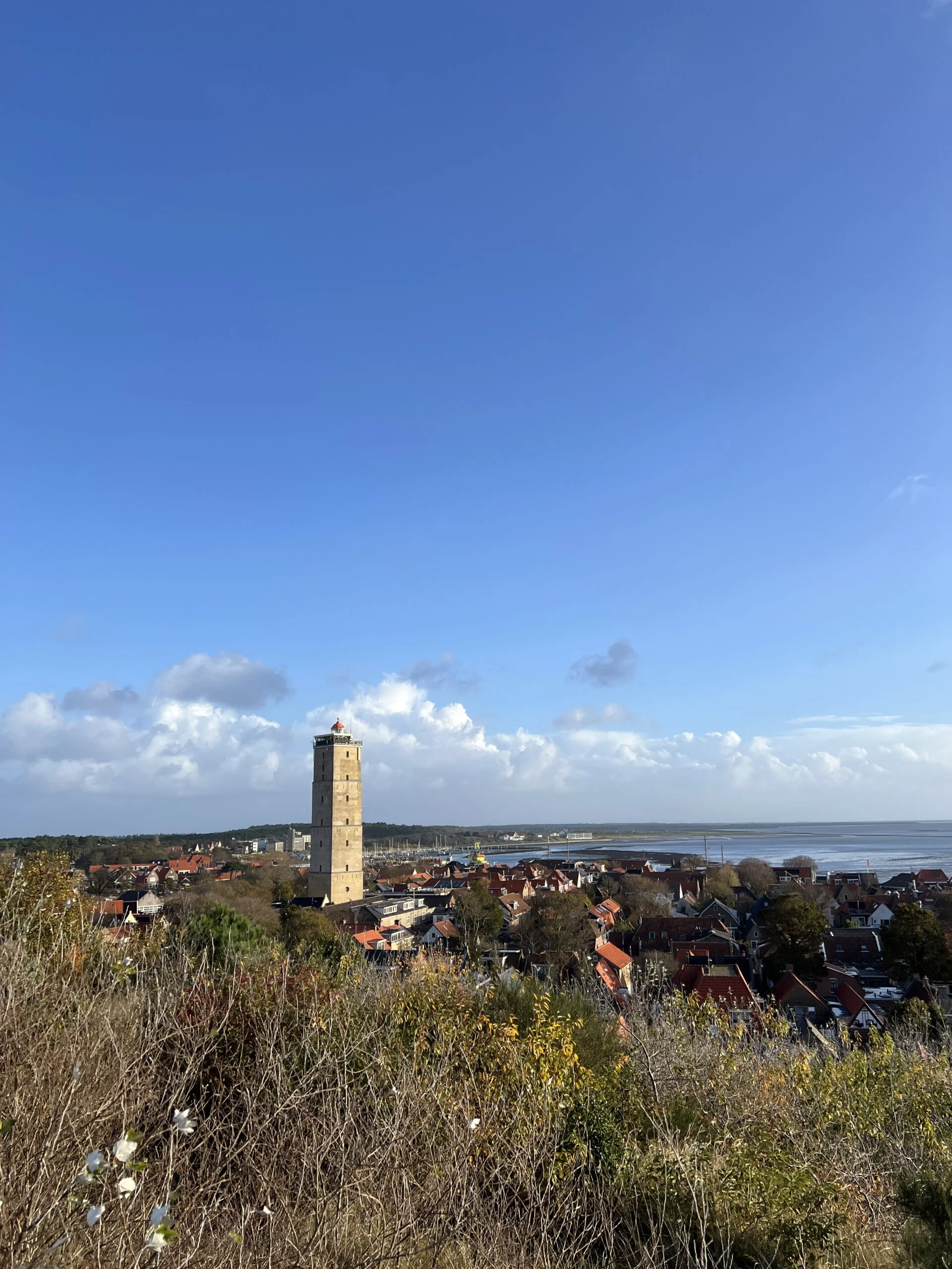 Uitzicht op de Brandaris vanaf de Seinpaalduin op Terschelling