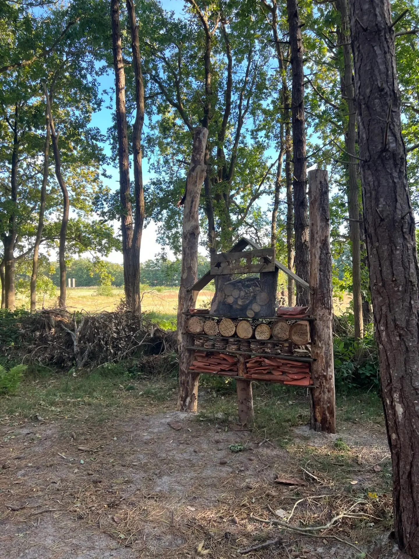 Natuurspeelplaats ’t Speulbos op Terschelling