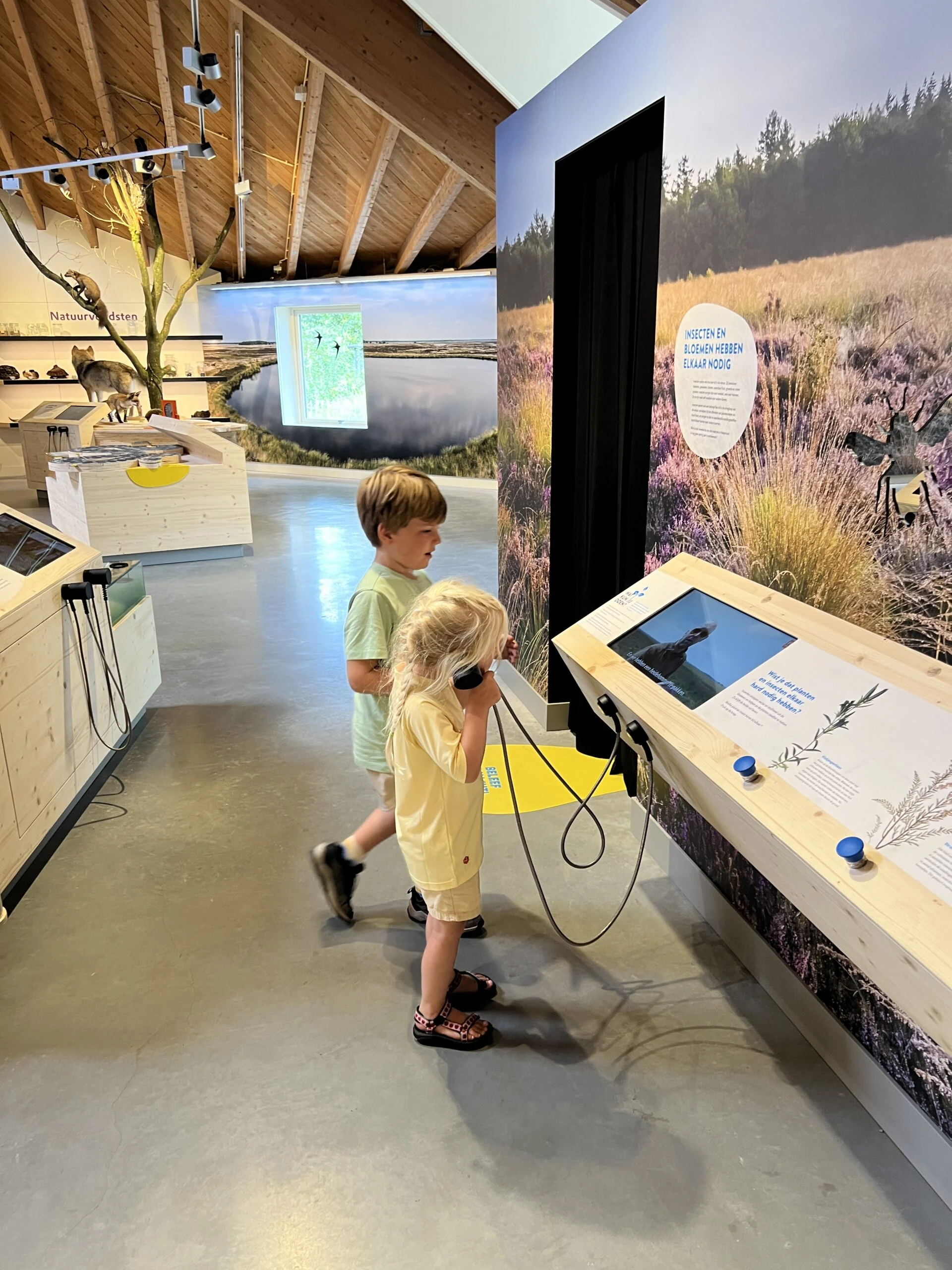 Kinderen leren over de natuur in het Bezoekerscentrum Dwingelderveld in Drenthe