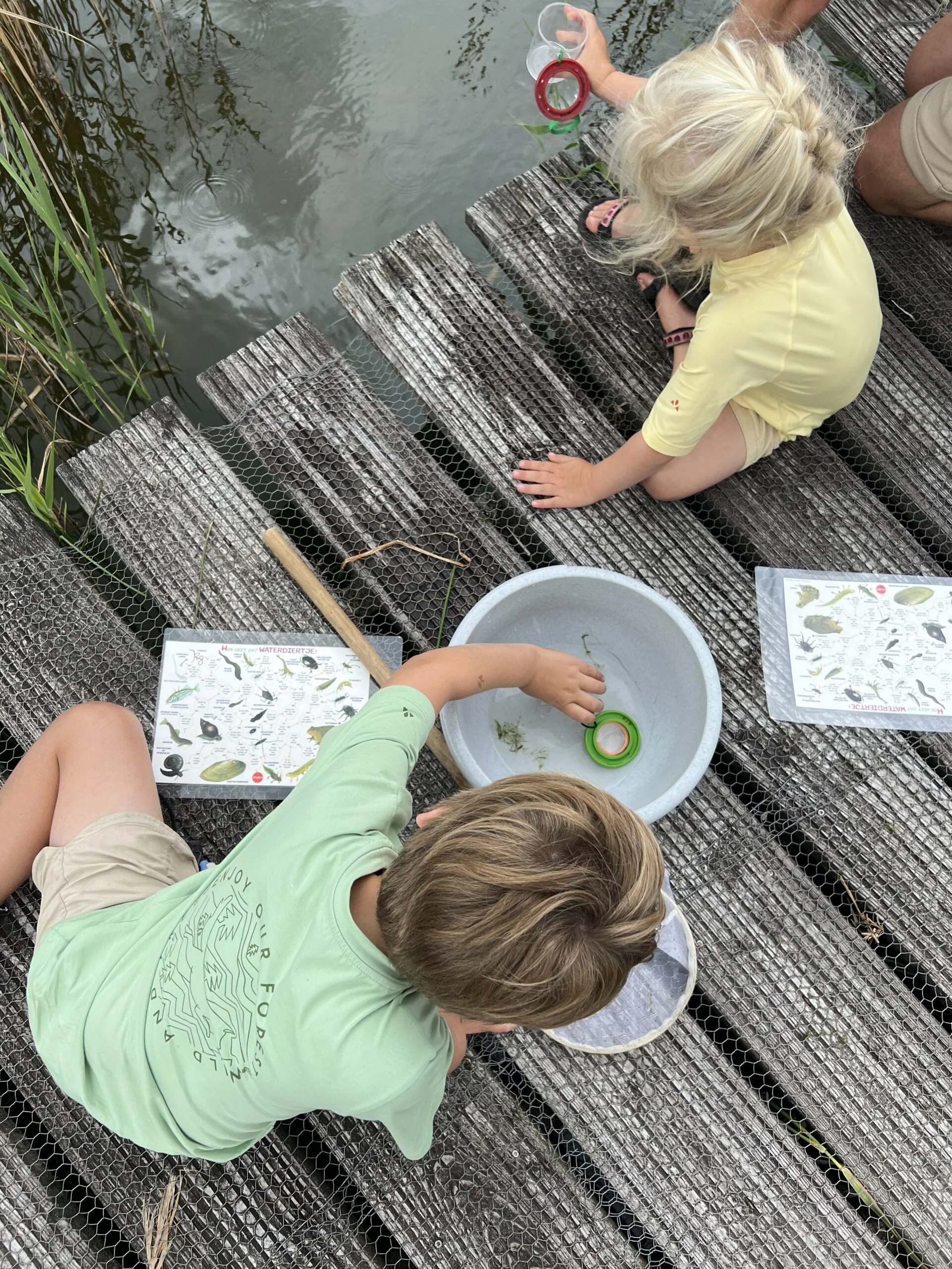 Kinderen vangen waterbeestjes bij het Bezoekerscentrum Dwingelderveld in Drenthe