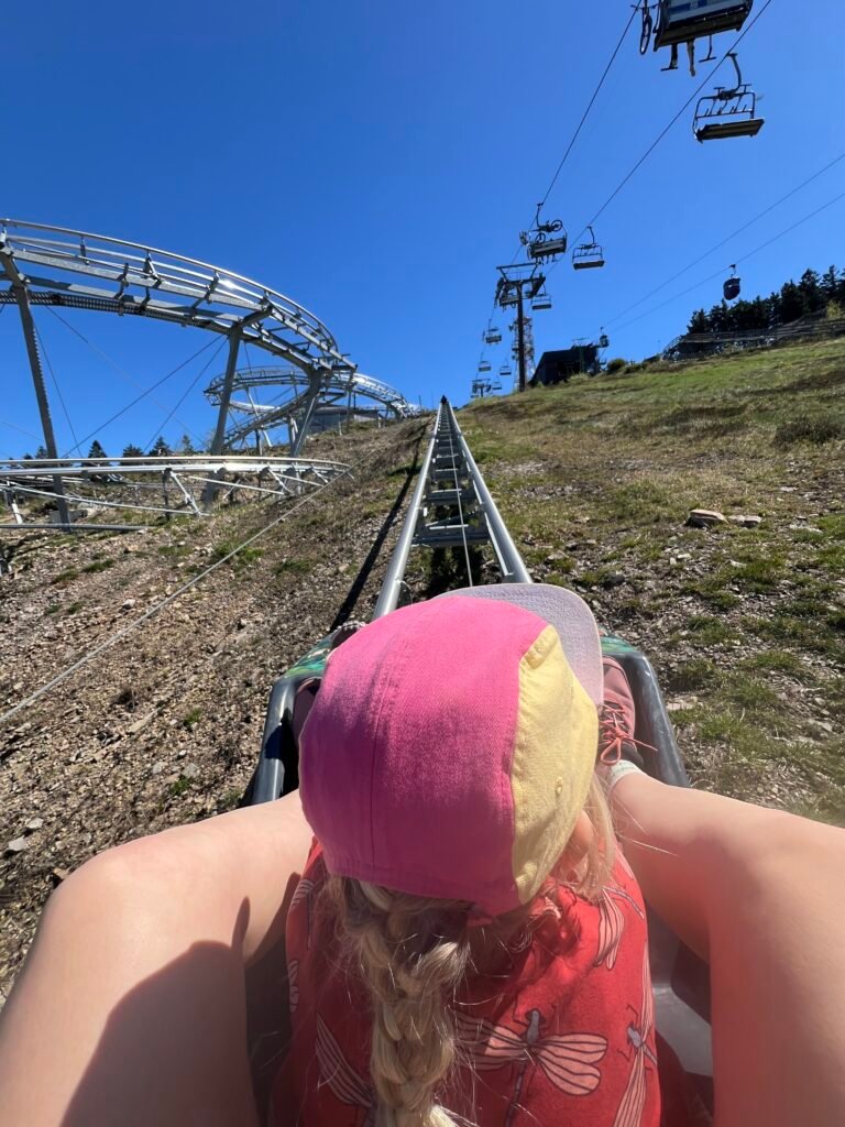 Uitzicht vanuit een karretje op de rodelbaan Drachenblitz in Hahnenklee in de Harz