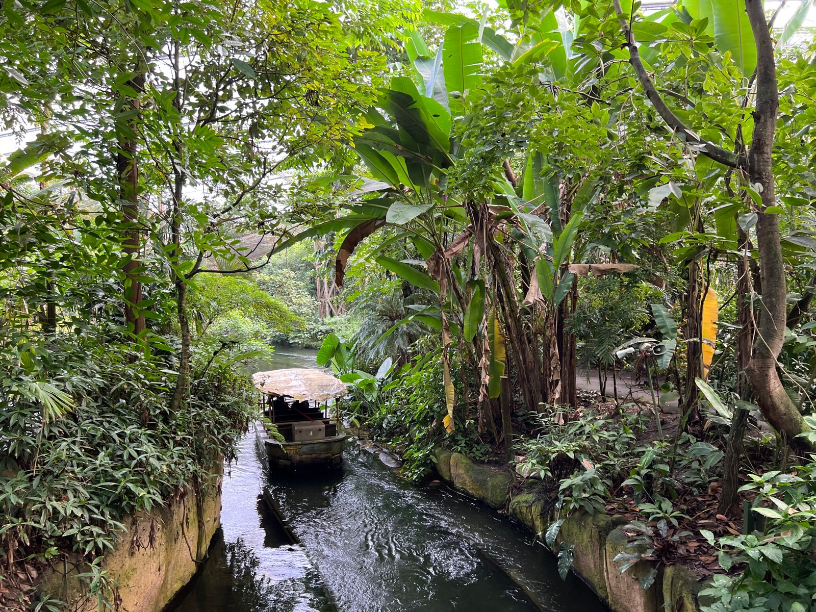 Boottocht Rimbula River – Wildlands Emmen Bootje op de Rimbula River in Wildlands Emmen