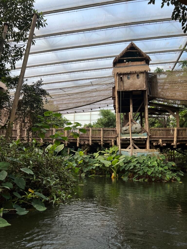 Pad door Tropische kas Rimbula met maki’s in Wildlands Emmen