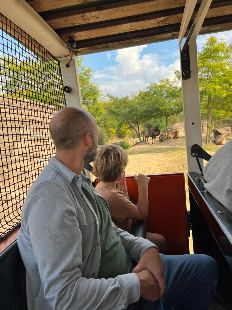 Mensen in safaritruck voor safari in Serenga bij Wildlands Emmen