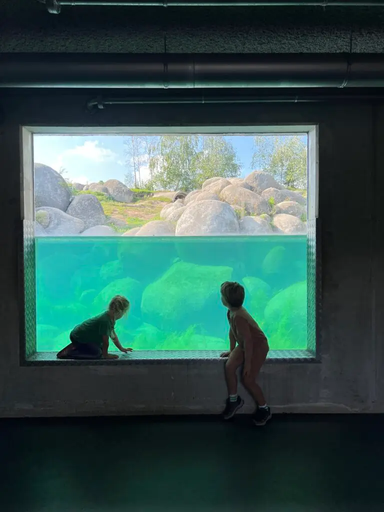 Twee kinderen kijken naar ijsberen onder water bij Nortica in Wildlands Emmen