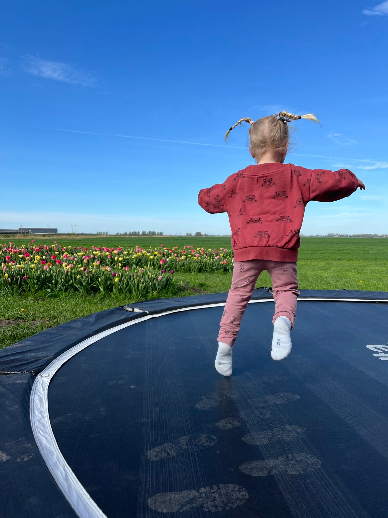 Kind springt op trampoline met tulpenvelden op de achtergrond in Nederland