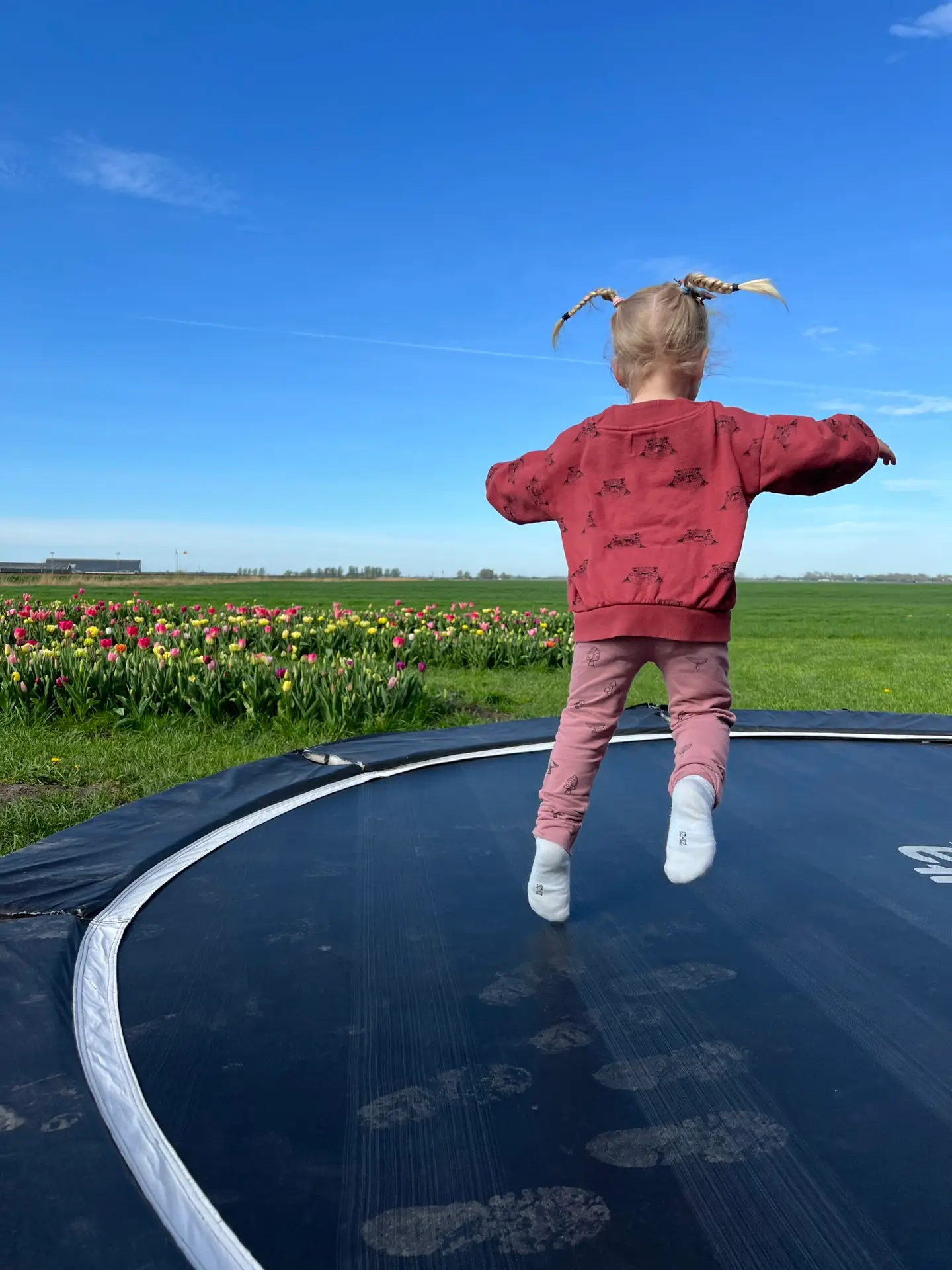 Kind springt op trampoline met tulpenvelden op de achtergrond in Nederland