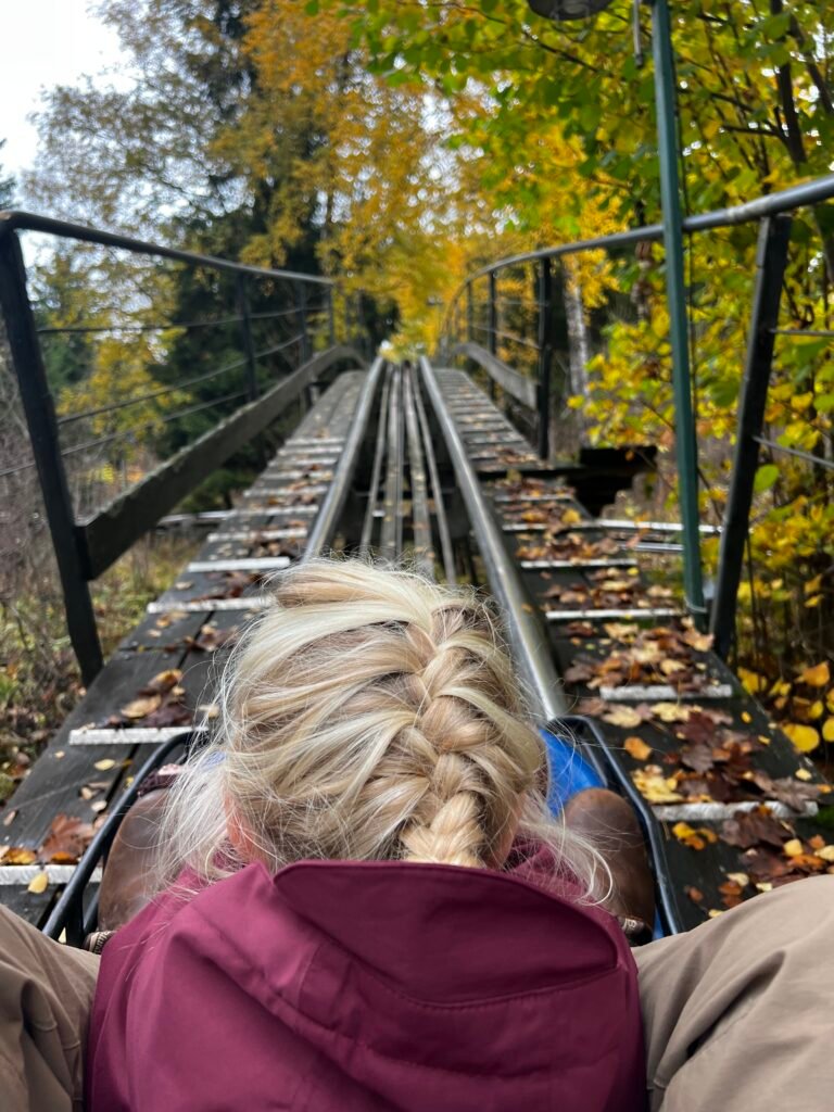 Uitzicht vanuit karretje op de Brocken Coaster rodelbaan in de Harz met kind vooraan en bomen in herfstkleuren