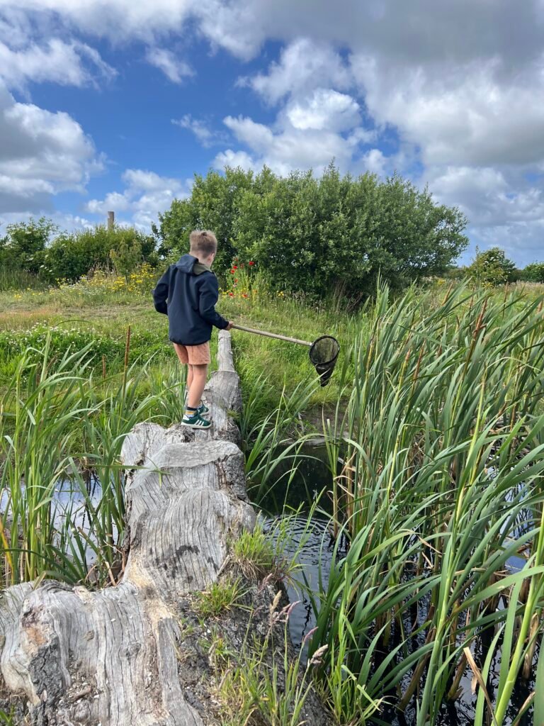 Kind vissend met een schepnetje bij het water van speelnatuur OERRR bij natuurcentrum De Marel op Texel