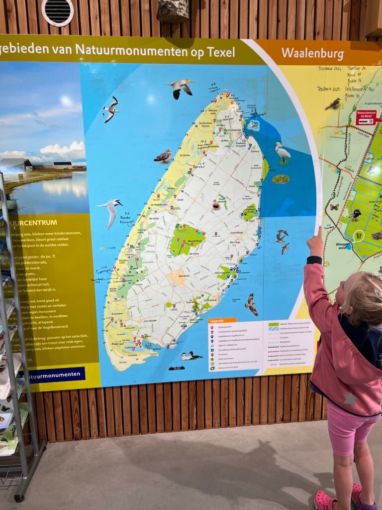 Kind bekijkt een grote kaart van Texel binnen in natuurcentrum De Marel