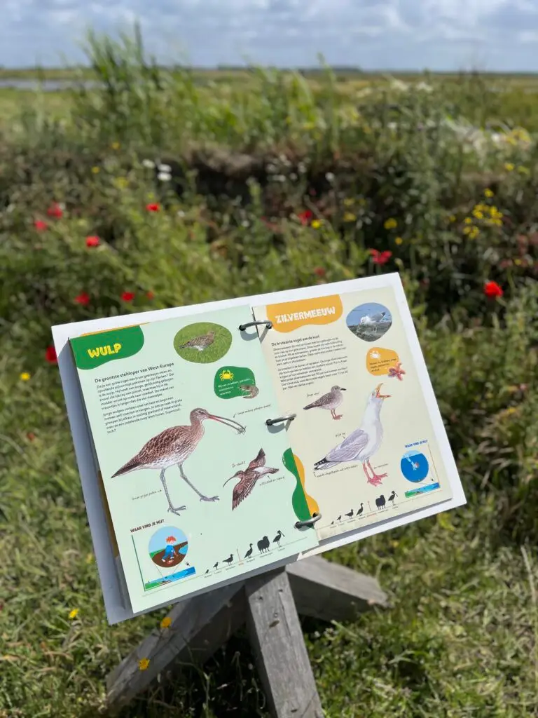 Informatiebord met te spotten vogels bij natuurcentrum De Marel