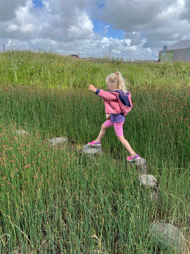 Kind balanceert op stapstenen in het riet bij speelnatuur OERRR van natuurcentrum De Marel op Texel