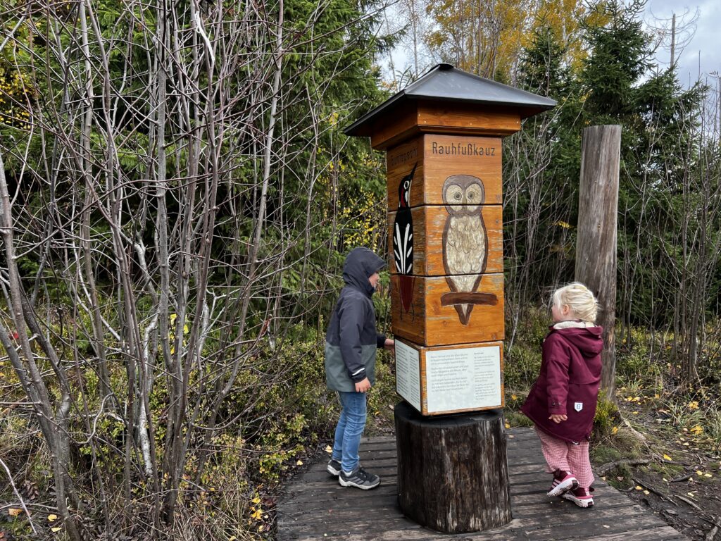 Kinderen bij grote draaipuzzel met bosdieren op het Löwenzahn-Entdeckerpfad in de Harz in de herfst