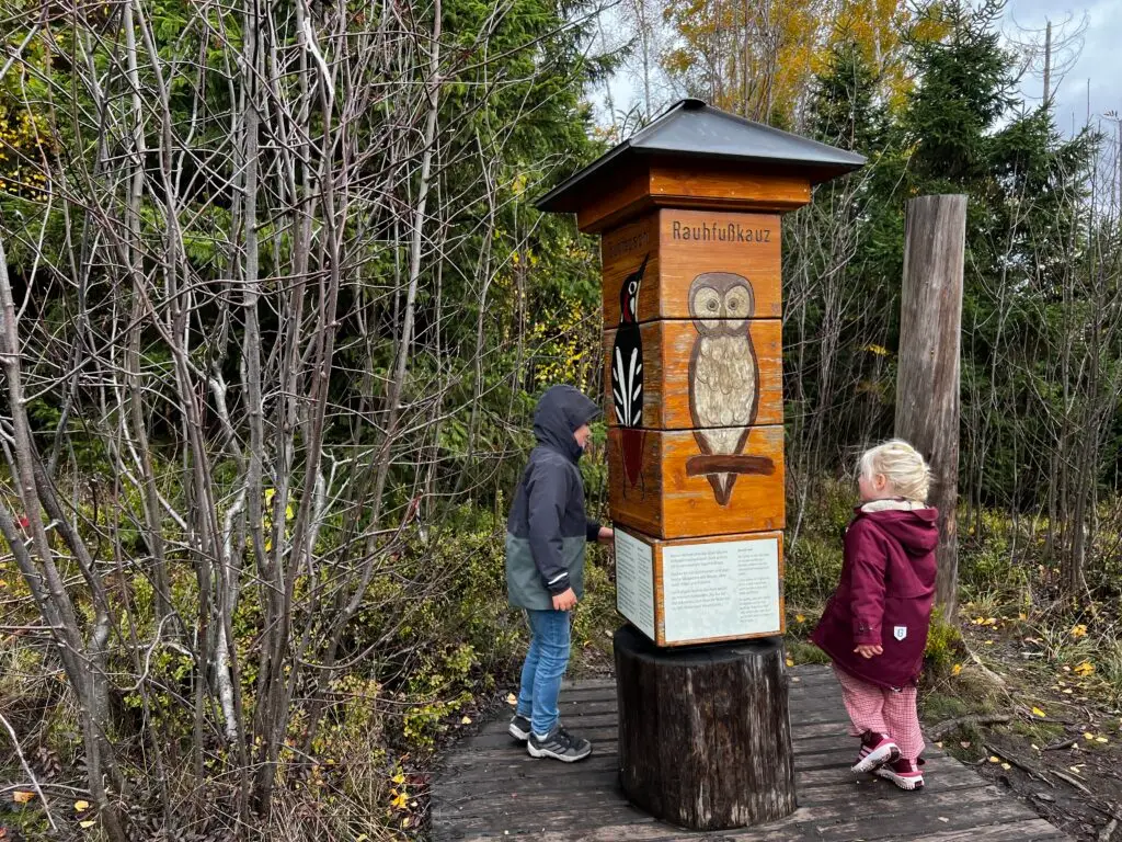 Kinderen bij grote draaipuzzel met bosdieren op het Löwenzahn-Entdeckerpfad in de Harz in de herfst