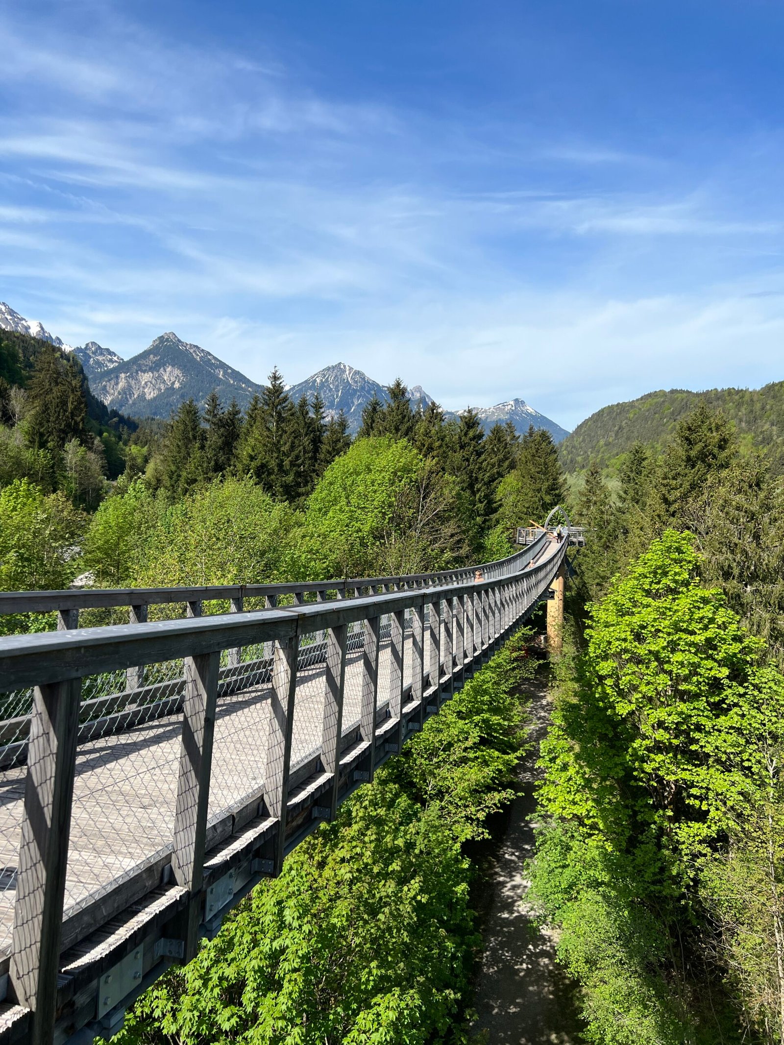 Boomkroonpad bij het Walderlebniszentrum Füssen in Allgäu, Beieren