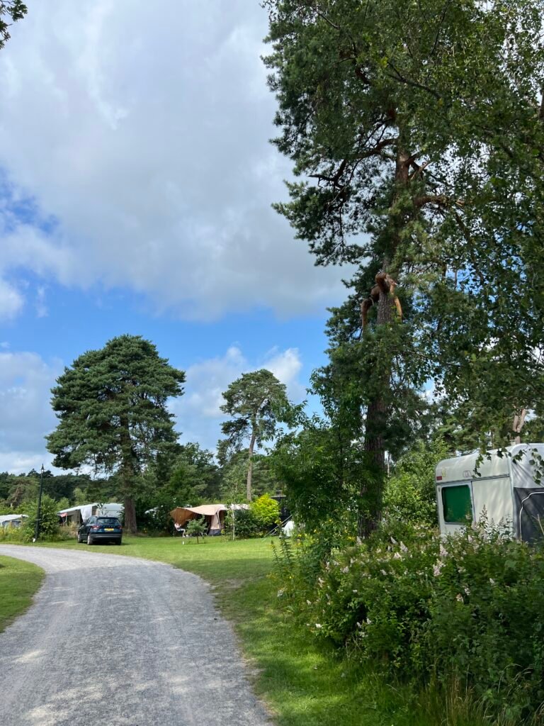 Laantje met kampeerplekken op camping De Norgerberg