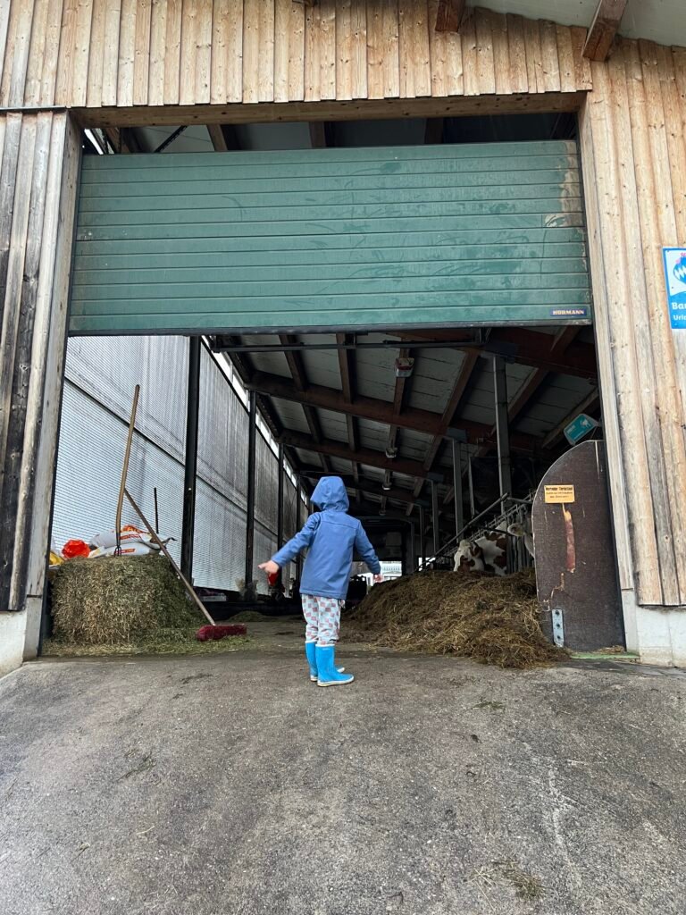 Kind in regenjas bij een koeienstal bij een verblijf vlakbij Füssen in Allgäu, Beieren
