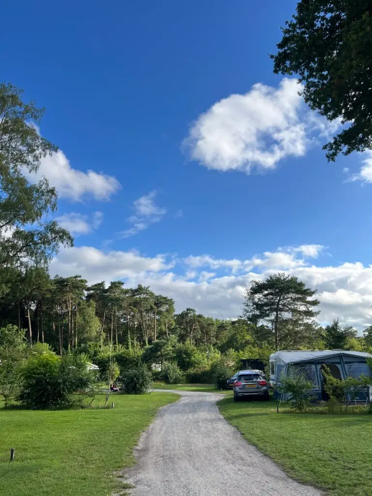 Groene kampeerplekken op camping De Norgerberg in Drenthe, zomer
