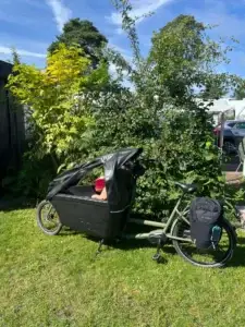 Dolly bakfiets voor gezinnen en kinderen