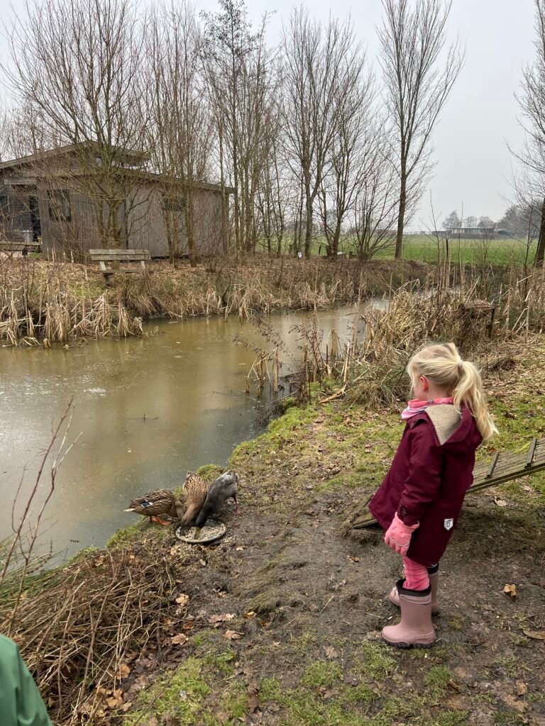 Kind voert de eendjes op vakantiepark Pean Buiten in Friesland