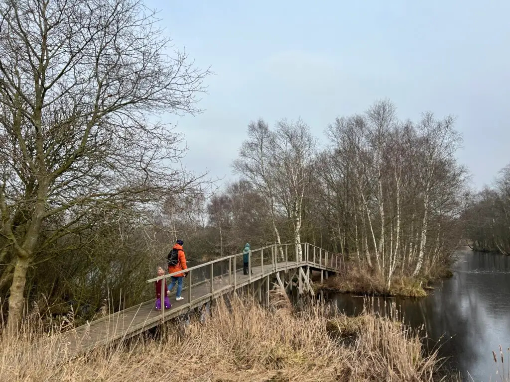Vader met kinderen op houten brug bij natuurgebied De Deelen in Friesland