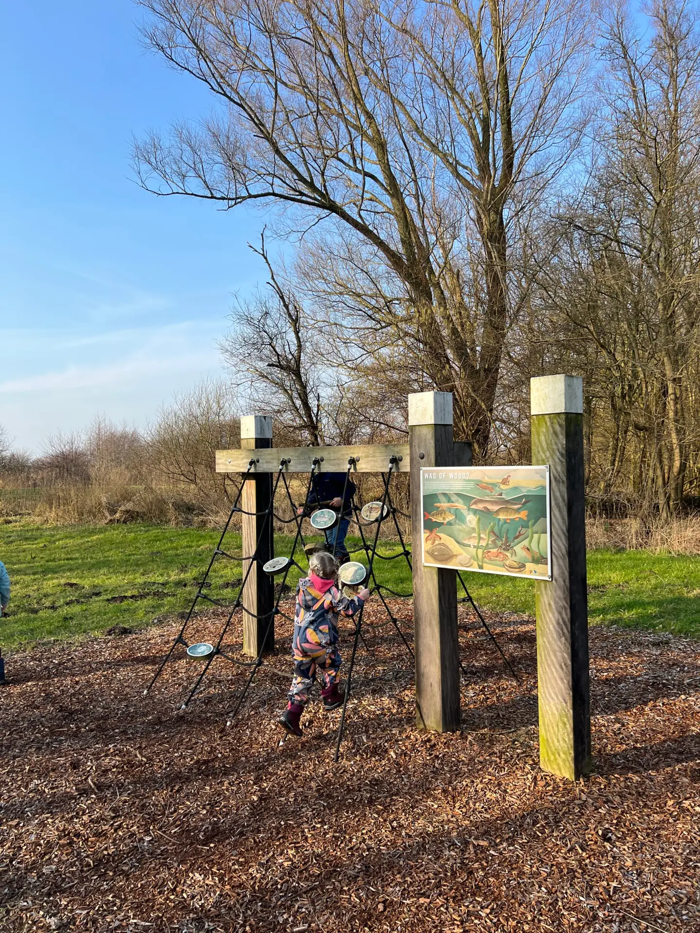 Kinderen spelen op een speeltoestel langs het WasWadpad in het Lauwersmeergebied