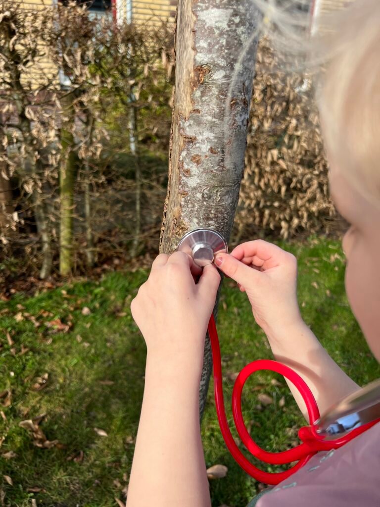 Kind luistert met een stethoscoop naar een boom in het bos. Origineel cadeautje kinderfeestje buiten