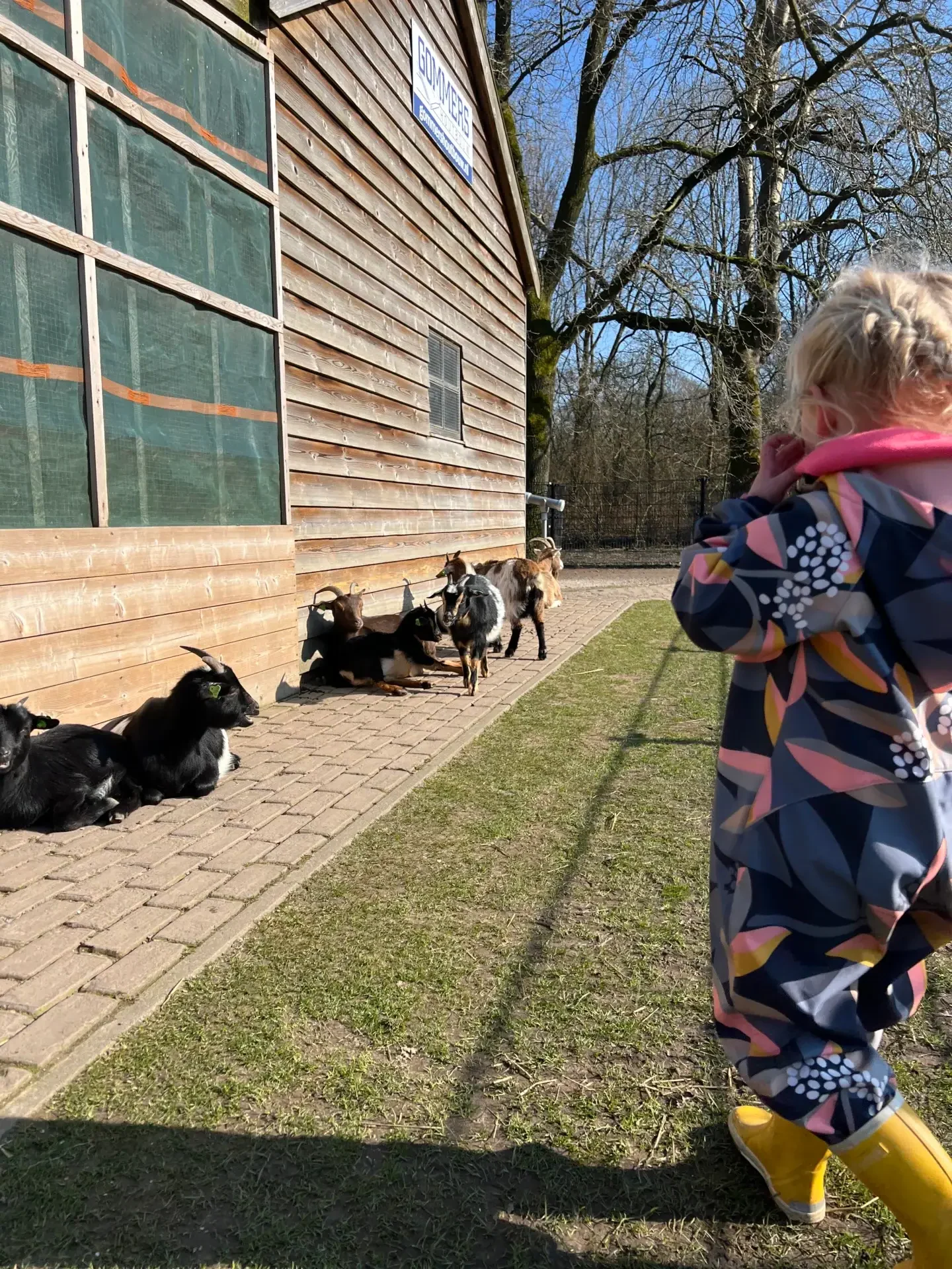 Kind bij de geitjes van Kinderboerderij Stadspark in Groningen