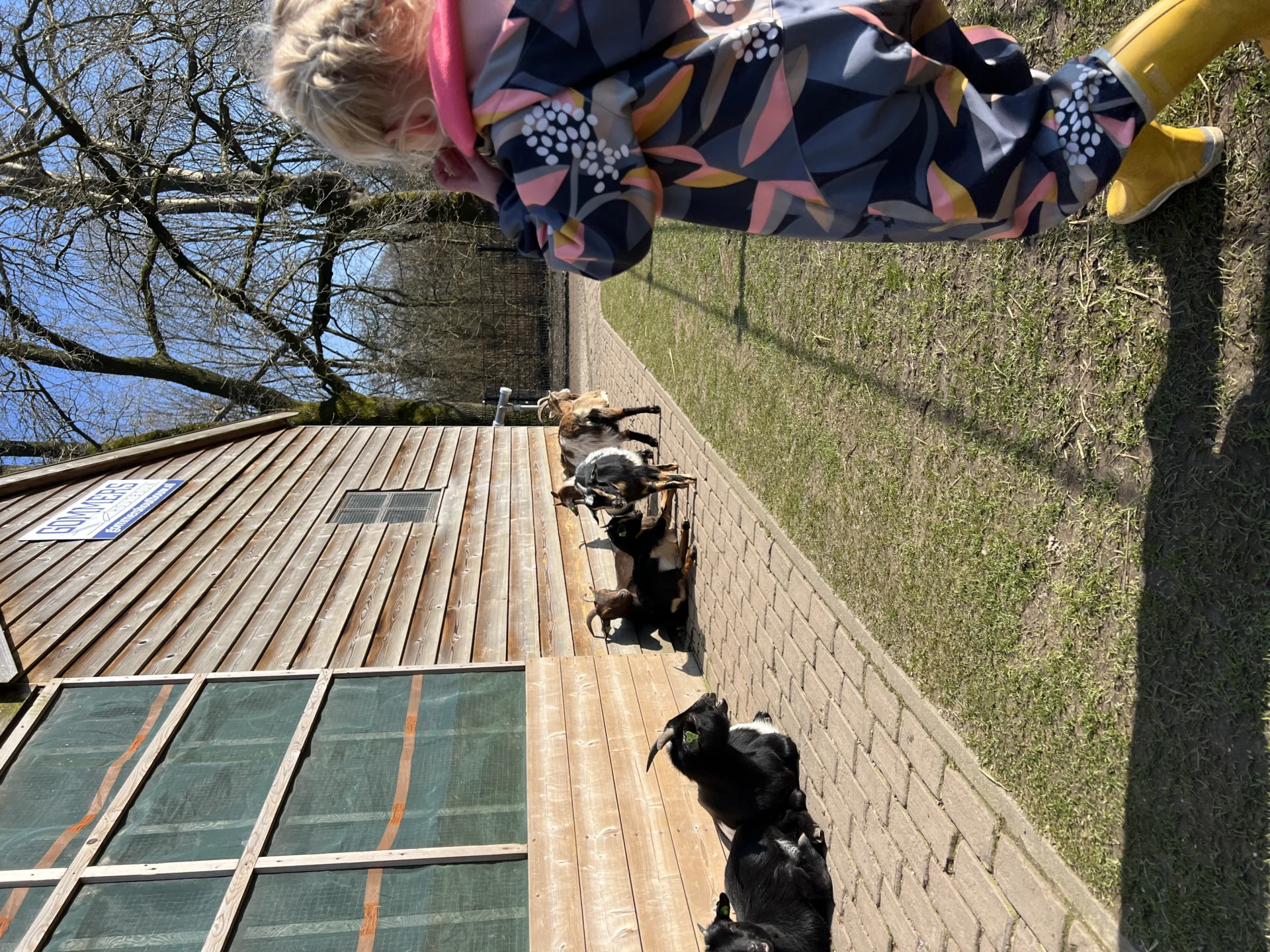 Kind bij de geitjes van Kinderboerderij Stadspark in Groningen