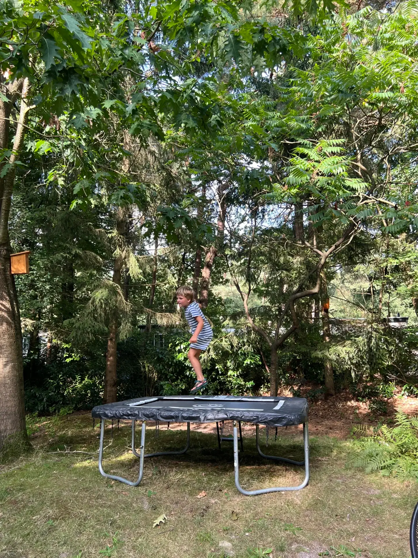 Kind springt op de trampoline in de tuin van Boshuis Nada, een vakantiehuisje in het bos in Ommen