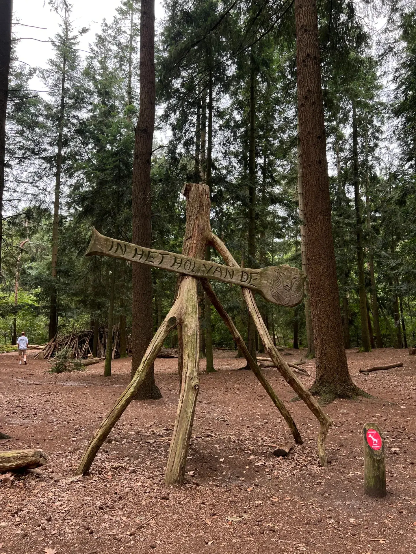 Kind speelt in speelbos ’t Hol van de Leeuw op de Lemelerberg in Overijssel