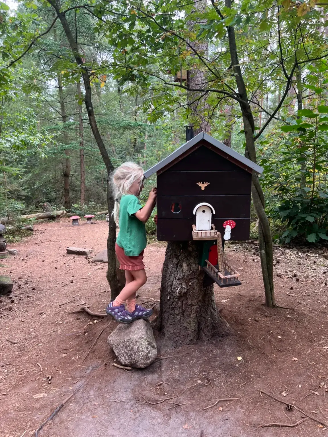 Kind kijkt in een kabouterhuisje op het kabouterpad op de Sallandse Heuvelrug
